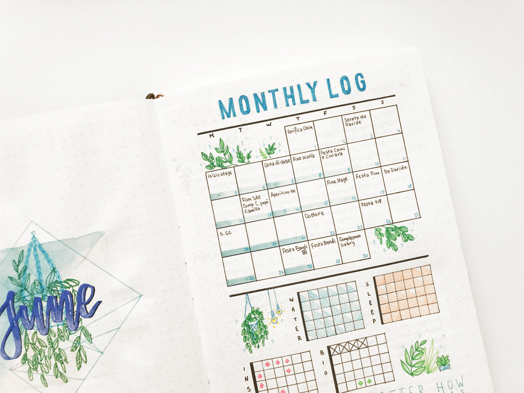 differe-types-of-monthly-log-june2017.png